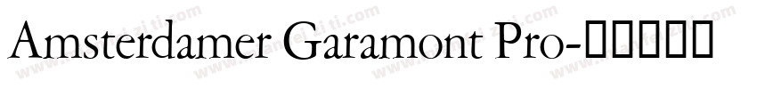 Amsterdamer Garamont Pro字体转换